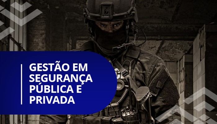 Gestão em Segurança Pública e Privada